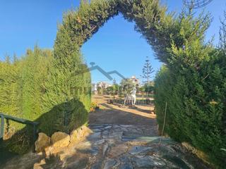 Finca rústica en Centro-Calzada-Cabo Noval. Parcela proindivisa con casa en montijo