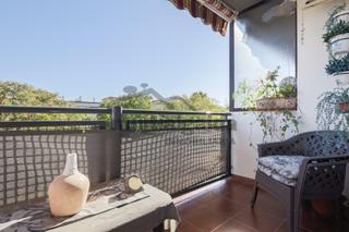 Pis a Las Palmeras-Dehesilla