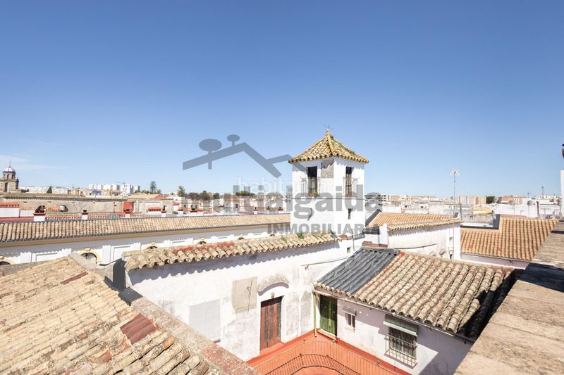 Foto 40431212-c6f8-4c38-bc1d-d26e8e99b91b. Pis a Centro Jerez de la Frontera