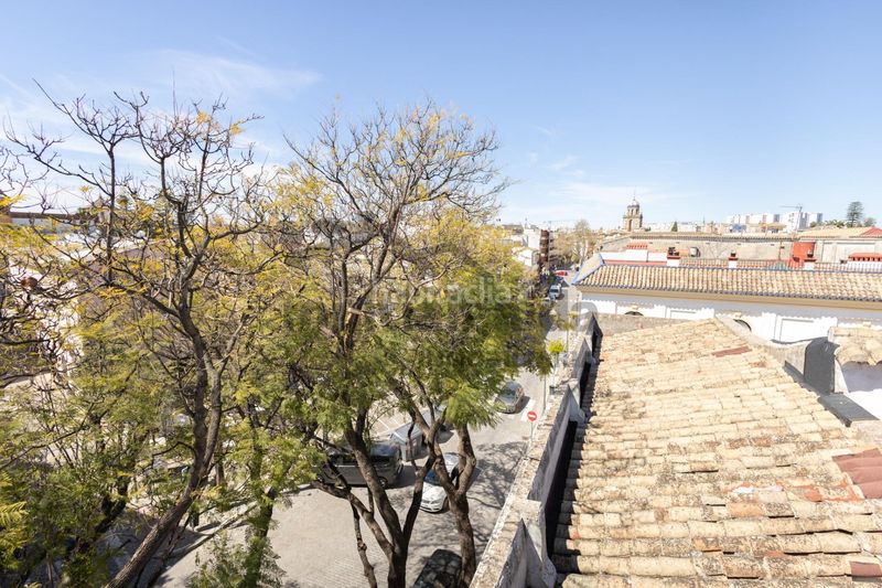Foto be6497f7-a8c9-4465-8663-c8701fc25e52. Pis a Centro Jerez de la Frontera