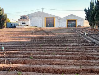 Masia a Chipiona Norte. Finca rústica en ctra chipiona