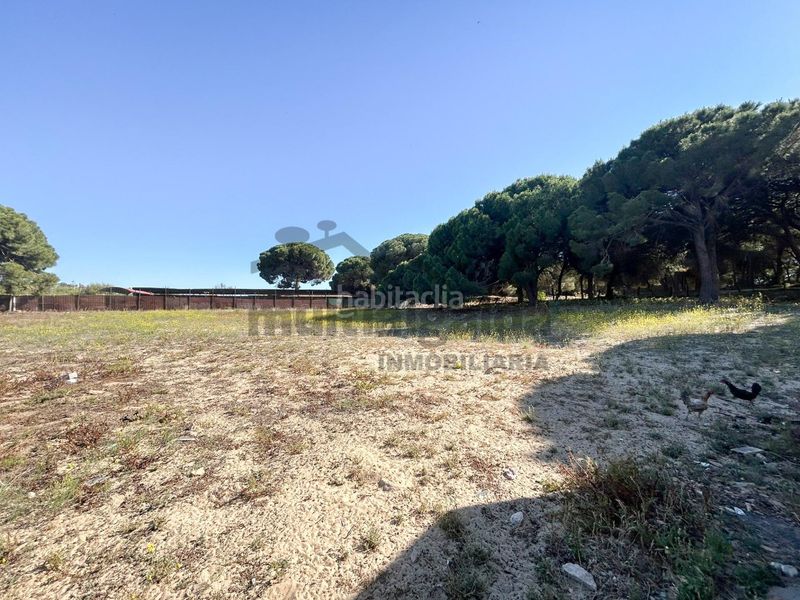 Foto 0f6ac853-e669-4df8-94ea-054f1fd9b3c5. Finca rústica a Bonanza-Avda de Huelva-Barrio Andalucia Sanlúcar de Barrameda