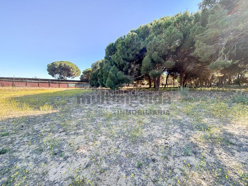 Foto 1316fc44-4a87-47a0-9ab4-e676d887d8d2. Finca rústica a Bonanza-Avda de Huelva-Barrio Andalucia Sanlúcar de Barrameda