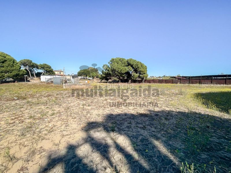 Foto 884eec49-ba05-4587-a067-21c6f408b515. Finca rústica a Bonanza-Avda de Huelva-Barrio Andalucia Sanlúcar de Barrameda