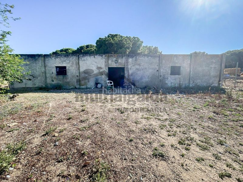 Foto 8d4b8506-9550-48d4-bb0d-a1a90d9bf50e. Finca rústica a Bonanza-Avda de Huelva-Barrio Andalucia Sanlúcar de Barrameda