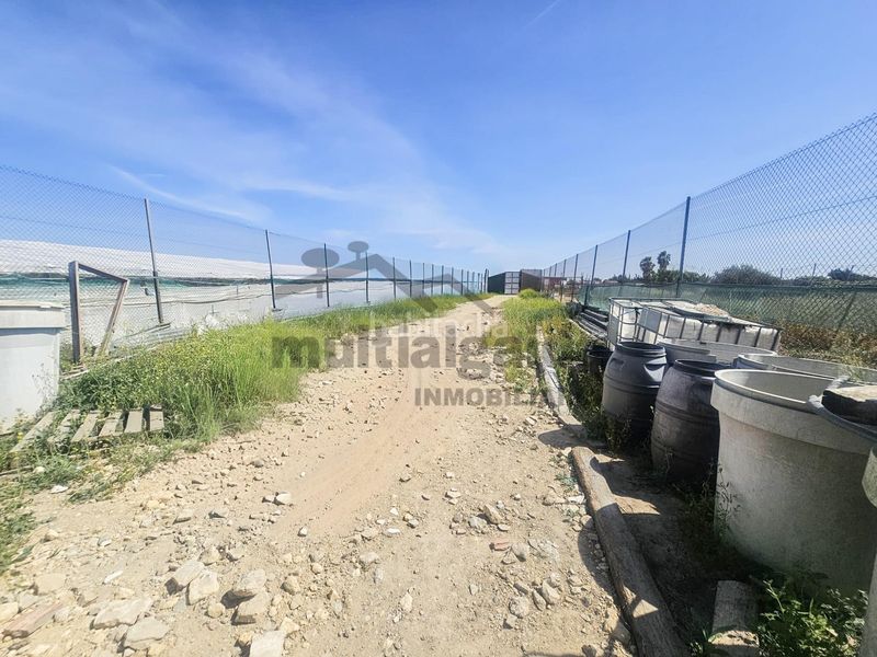 Foto 4d7c9269-73f9-4e8f-9967-e785ce349721. Masia amb aparcament a Chipiona norte Chipiona