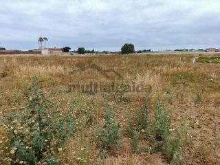 Finca rústica en Chipiona Norte