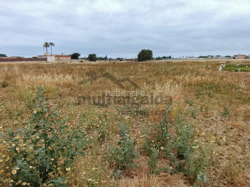 Foto 0a545d29-7c45-45d1-891e-27efde223d26. Finca rústica a Chipiona norte Chipiona