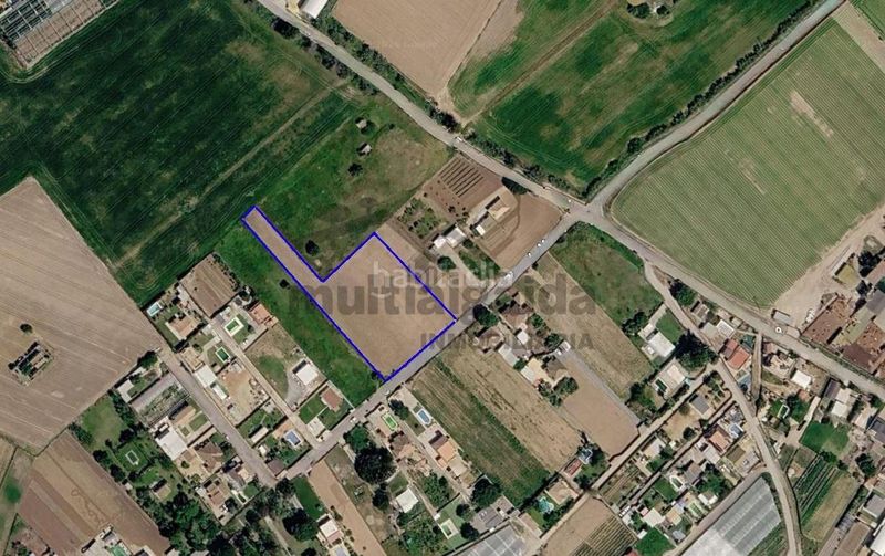 Foto 2e5b3322-6041-41b2-bc72-728db87af91a. Finca rústica a Chipiona norte Chipiona