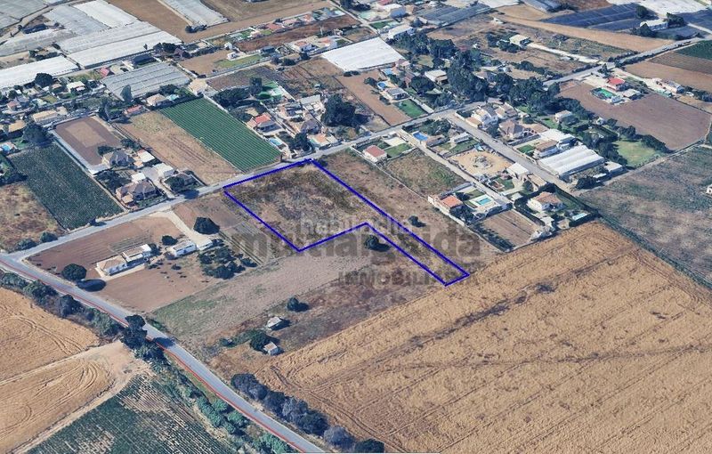 Foto 5e5a5c53-dc27-4a3e-9016-e70e53d5dc0e. Finca rústica a Chipiona norte Chipiona