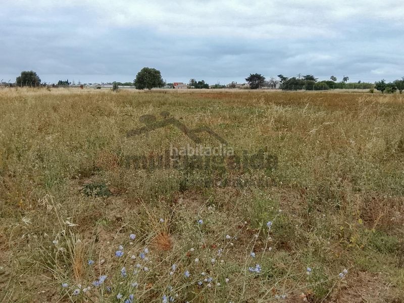 Foto ac1c2b05-6f84-4be8-96a4-0a9836596ada. Finca rústica a Chipiona norte Chipiona