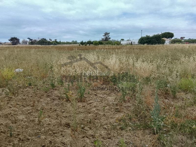 Foto be916922-e2e9-4696-b1de-1c0f0496c265. Finca rústica a Chipiona norte Chipiona