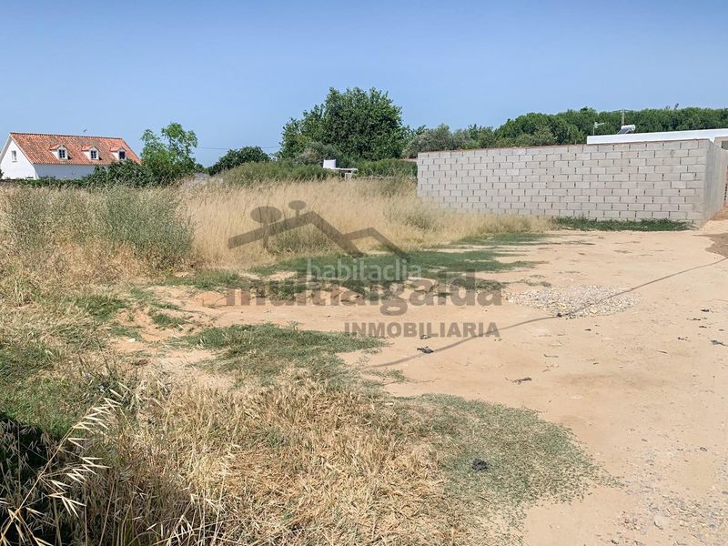 Foto 2f15aebe-4454-4f11-8366-3056ee722f67. Finca rústica a La Jara Sanlúcar de Barrameda