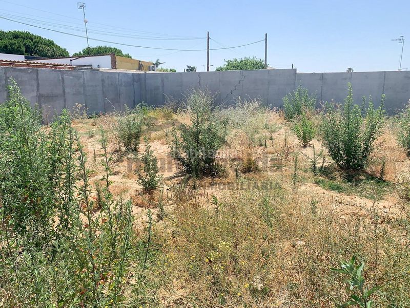 Foto ec7ec97f-df86-46b4-ae70-b26713c399a9. Finca rústica a La Jara Sanlúcar de Barrameda