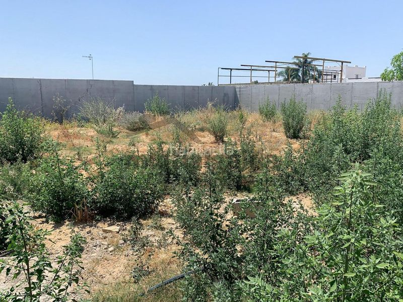 Foto fefe1a23-c737-43a2-aa52-93ac03450324. Finca rústica a La Jara Sanlúcar de Barrameda