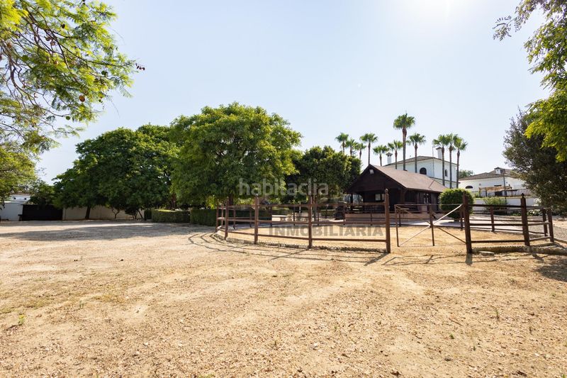 Foto bd391463-8546-4d37-ad0a-29ec95fa3ec9. Xalet amb aparcament piscina a La Jara Sanlúcar de Barrameda