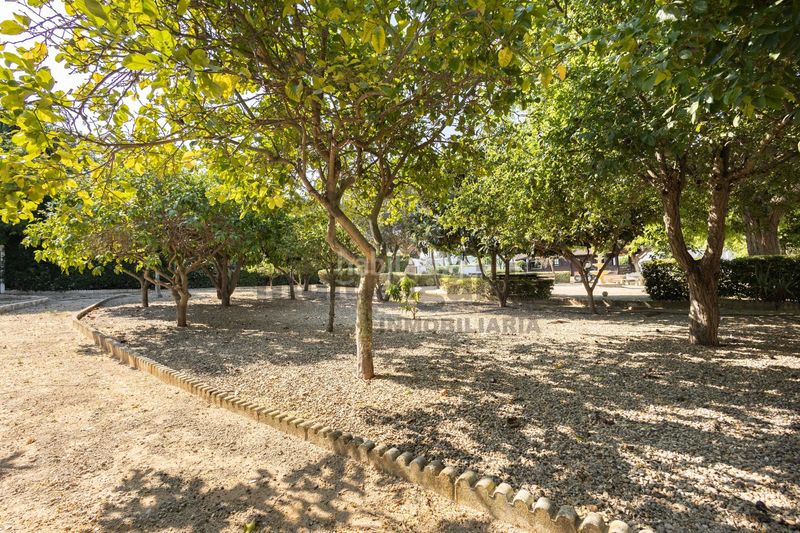 Foto c76f0dd9-b9e8-495a-9f3d-6dc0161489c1. Xalet amb aparcament piscina a La Jara Sanlúcar de Barrameda
