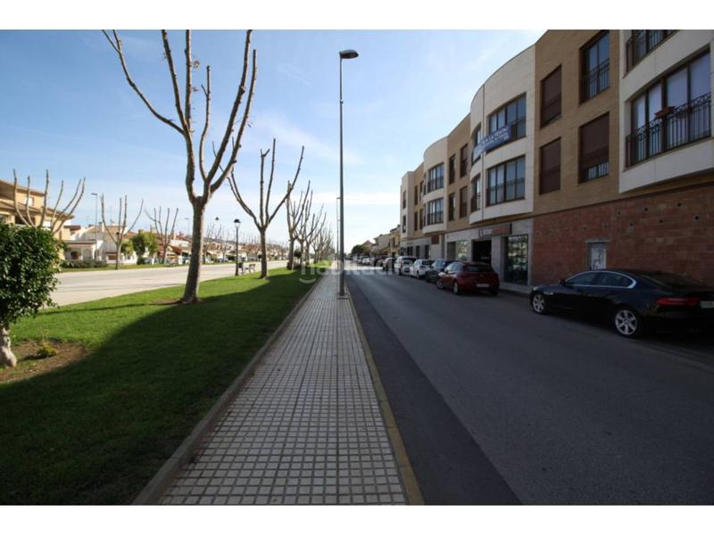 Foto ec7e3841-9f05-43e3-b71c-ce0aedabc66d. Affitto locale commerciale in Pilar de la Horadada ciudad Pilar de la Horadada