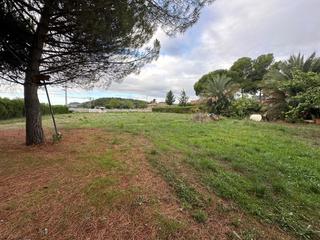 Finca rústica a Terra baixa,ur terra baix 27. Gran parcela de 2.508 m en alpicat!