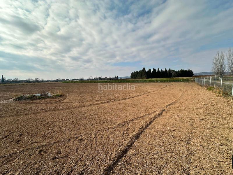 Foto aee006d0-6ebd-4ac6-9200-68481d109375. Finca rústica desconecta en la naturaleza finca rústica con agua y almacén en Rosselló