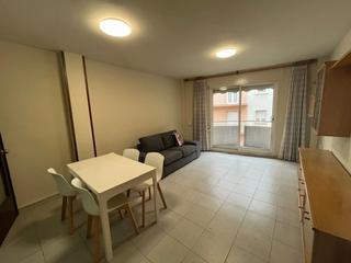 Location Appartement  Vallcalent. Habitación individual en zona alta, vallcalent  práctica, bien c