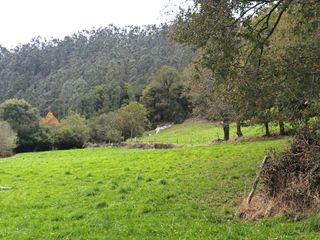 Landgut in Cuevas las - las cuevas. Finca rustica en roiz