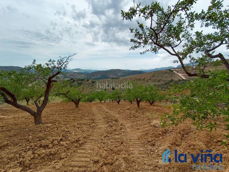 Foto 6bafb27e-df2a-403d-84db-12be0c3be493. Terreno residencial ref: 080523561 se vende parcela (málaga) en Casabermeja