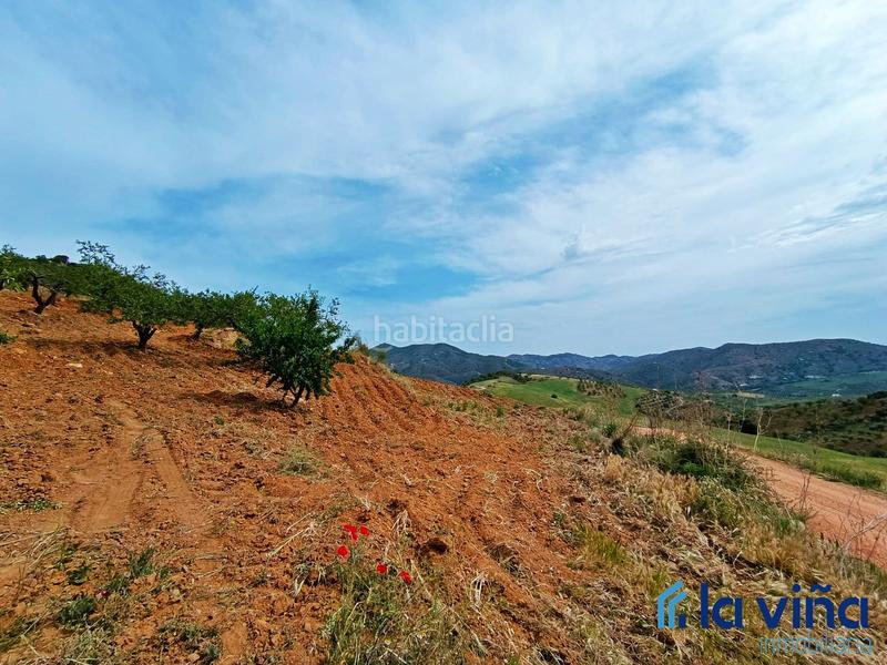 Foto 6d0d2ddc-0b39-4c3f-973e-71b1b9b5226f. Terreno residencial ref: 080523561 se vende parcela (málaga) en Casabermeja