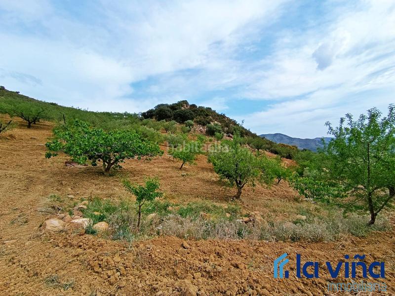 Foto 856602dd-651f-421b-96db-9040a54325e3. Terreno residencial ref: 080523561 se vende parcela (málaga) en Casabermeja