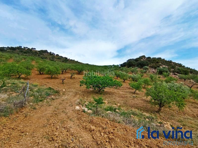 Foto 87b5f41e-4d6a-4cdf-bfae-9b1cd4530c9c. Terreno residencial ref: 080523561 se vende parcela (málaga) en Casabermeja