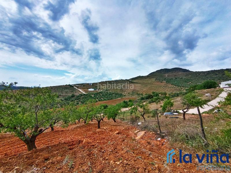 Foto 885d243e-c21f-4d75-b8b3-93b163102d64. Terreno residencial ref: 080523561 se vende parcela (málaga) en Casabermeja