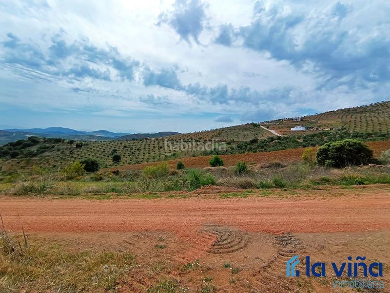 Foto 9137ace6-2ad9-4f86-abc5-3ac1d770f040. Terreno residencial ref: 080523561 se vende parcela (málaga) en Casabermeja