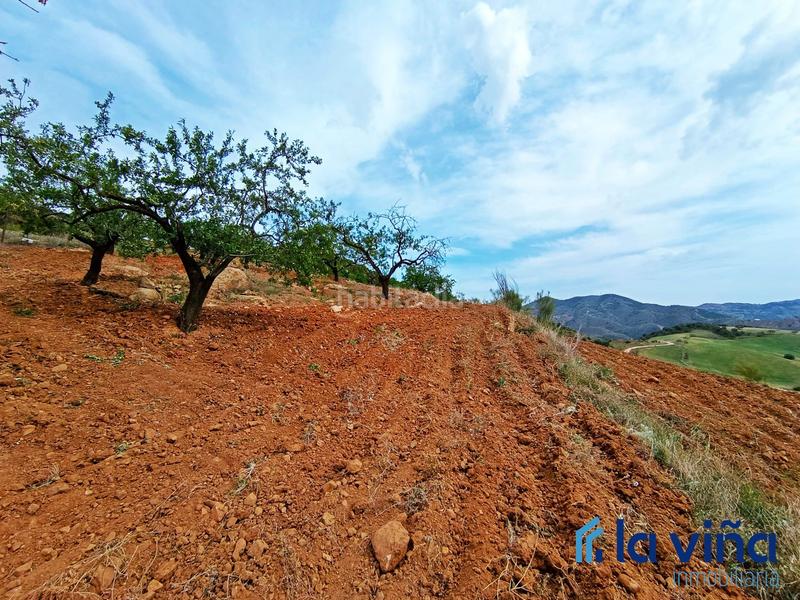 Foto 9b016d91-7e4a-45c7-8f05-3ea971a376d1. Terreno residencial ref: 080523561 se vende parcela (málaga) en Casabermeja