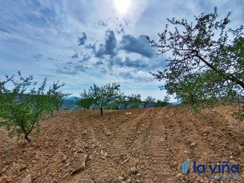 Foto 9fb3b13f-8384-4305-8ea7-f2e8008e8b02. Terreno residencial ref: 080523561 se vende parcela (málaga) en Casabermeja