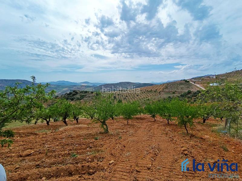 Foto e622b6b2-945f-464b-9cc1-3f94beca24de. Terreno residencial ref: 080523561 se vende parcela (málaga) en Casabermeja