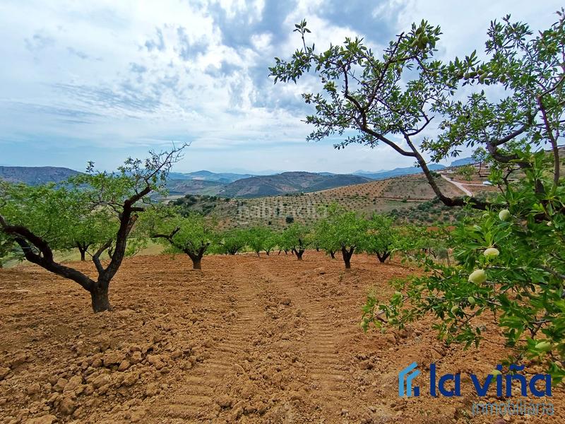 Foto f3b304fc-4dc3-49b2-a32c-006fdf0c7170. Terreno residencial ref: 080523561 se vende parcela (málaga) en Casabermeja