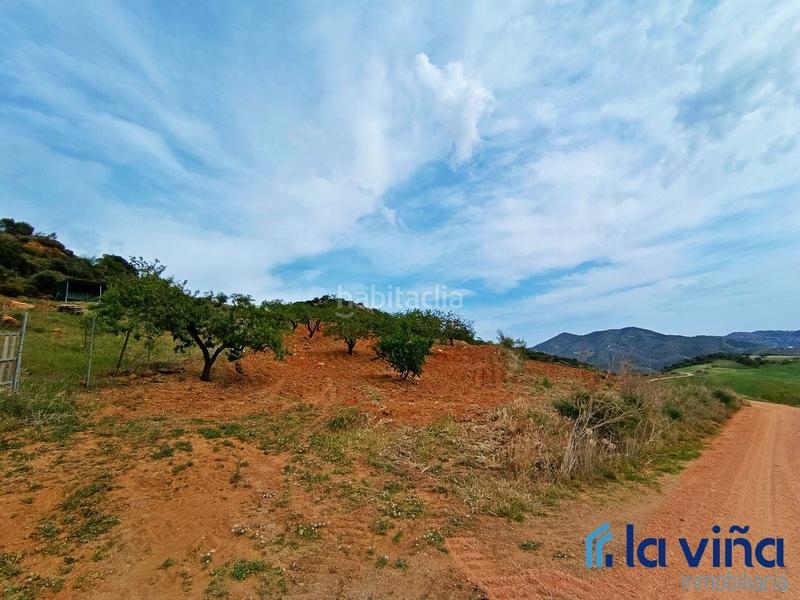 Foto f4bd581d-8a96-47f5-9978-2c7b0a219627. Terreno residencial ref: 080523561 se vende parcela (málaga) en Casabermeja
