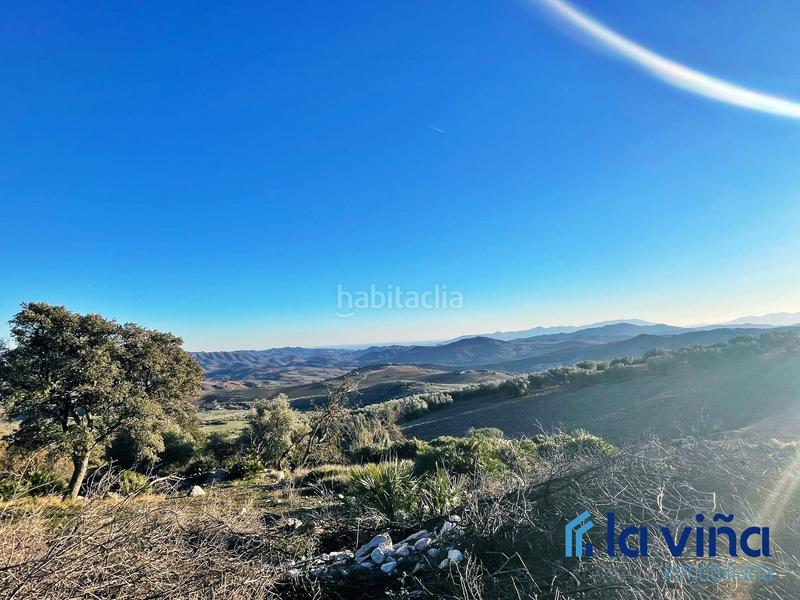 Foto fcf8b8a5-b9e3-4cf1-b537-1be3fc19d9df. Casa amb xemeneia a Villanueva De La Concepción