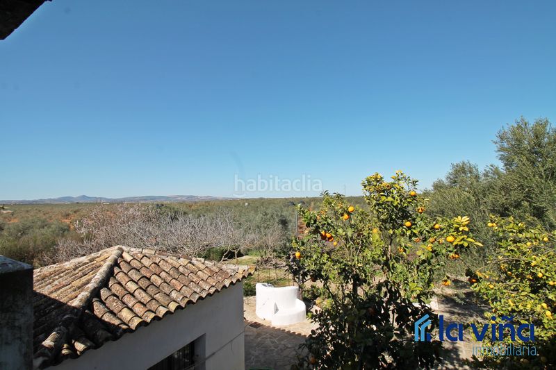 Foto 46f67e2e-8039-4711-b9cd-3c00a05ae301. Masia amb xemeneia aparcament piscina a Martín de la Jara