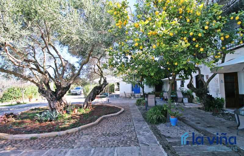 Foto 8030d7bf-c028-403b-b456-fd2fee02f14f. Masia amb xemeneia aparcament piscina a Martín de la Jara