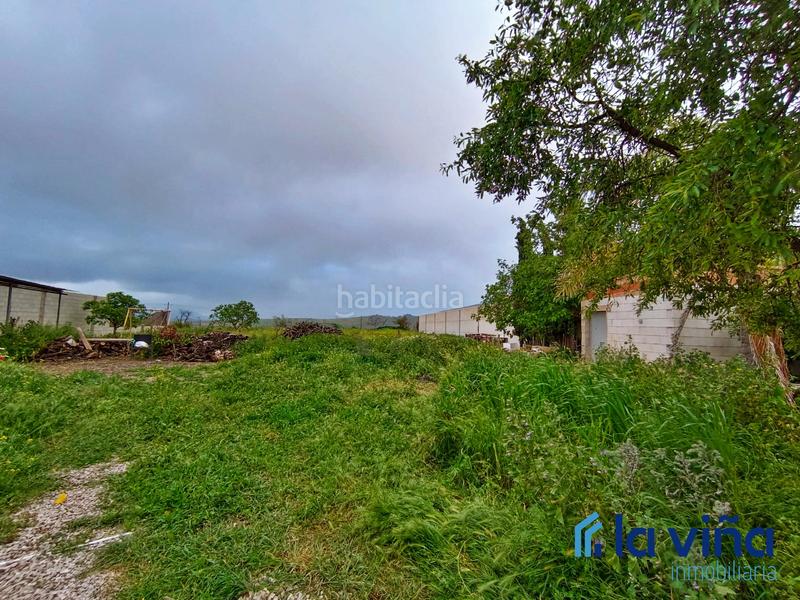 Foto cc83cab8-8670-418a-a2eb-68c2153a333b. Finca rústica a Alameda