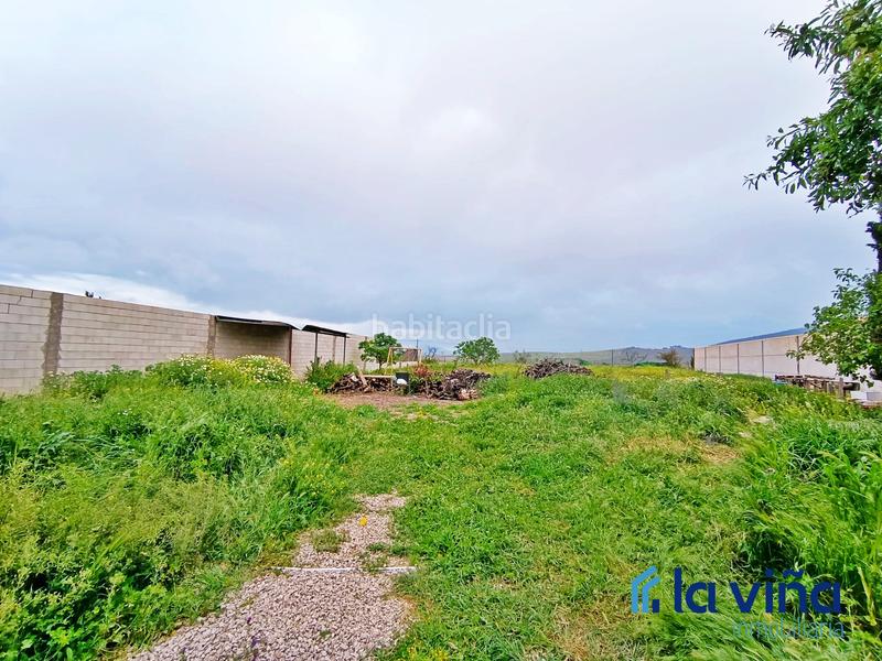 Foto d9ace3d6-86f4-4e00-925e-732da7243f1b. Finca rústica a Alameda