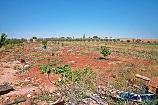 Finca rústica a Mollina. Ref. 050624792 se vende parcela en mollina (málaga)