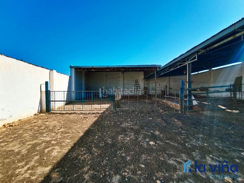 Foto 4ec6ef97-3399-4c8f-b450-88761b7d9d8b. Finca rústica ref. 060624793 se vende parcela rústica (málaga) en Alameda
