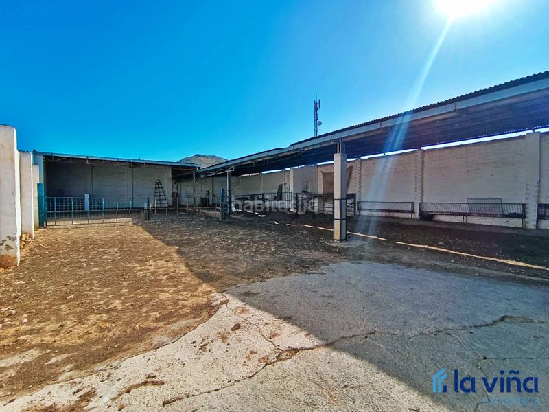 Foto 6c170cd2-e09b-4dac-90e9-01ab4507d3f6. Finca rústica ref. 060624793 se vende parcela rústica (málaga) en Alameda