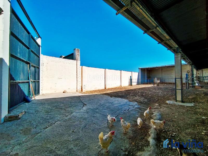 Foto c05061e3-baee-481f-a45f-84ab55d78b8d. Finca rústica ref. 060624793 se vende parcela rústica (málaga) en Alameda