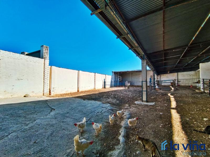Foto c91ad5cf-b7ee-45af-880f-ae9cbac1cc92. Finca rústica ref. 060624793 se vende parcela rústica (málaga) en Alameda