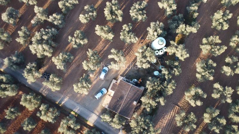 Foto d6300ee6-3272-4195-a5b1-1282057c9323. Rural plot in Cueva de Menga Antequera