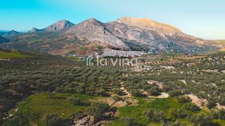 Finca rústica a Valle de Abdalajís. Ref. 270125875 se vende parcela rústica en el valle de abdalajís