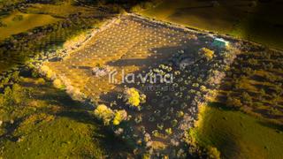 Finca rústica a Villanueva De La Concepción. Ref. 280125876 se vende parcela con vivienda en v. de la concepc